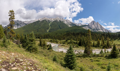 Scenic view of landscape and mountains against sky