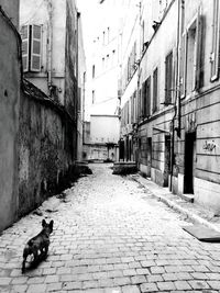 Alley amidst buildings in city