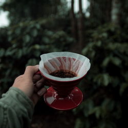 Close-up of hand holding coffee