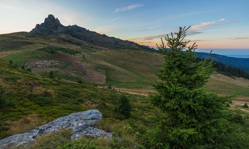 Scenic view of landscape against sky in ciucas mountains 