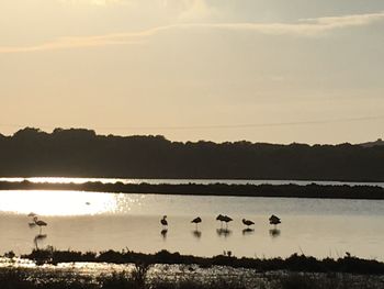 Scenic view of lake at sunset