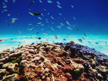 Scenic view of sea against blue sky