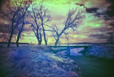 Bare trees by river against sky