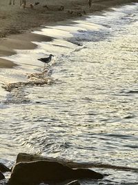 High angle view of sea shore