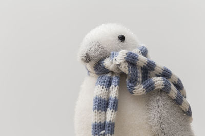 Close-up of a rabbit over white background