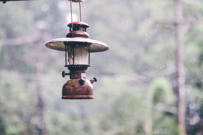 Close-up of bird flying over water