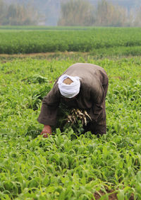 Rear view of man working on field