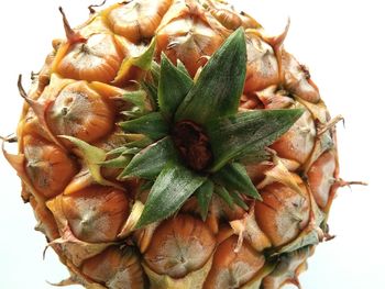 A close up of a pineapple