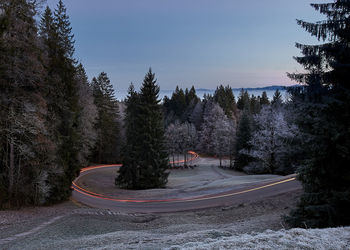 Road amidst trees against sky during winter