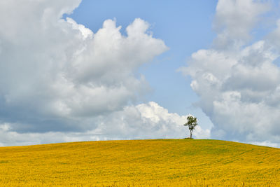 cloud