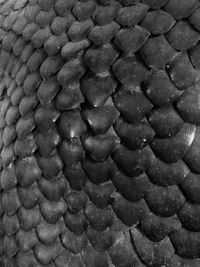 Full frame shot of patterned wall