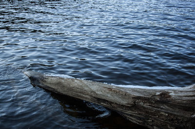 High angle view of driftwood in sea