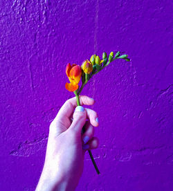 Close-up of hand holding plant against blue wall