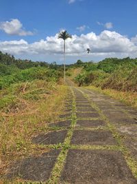 Road amidst trees on field against sky