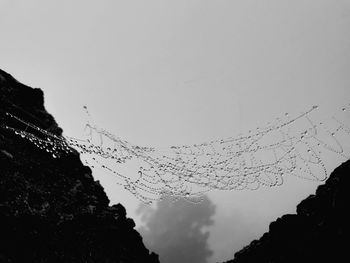 Low angle view of wet spider web against sky