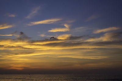 Birds flying over sea against sky during sunset