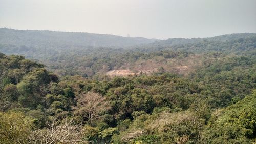 Scenic view of mountains