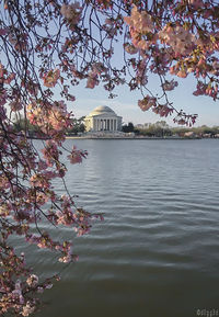 Buildings in distance with waterfront