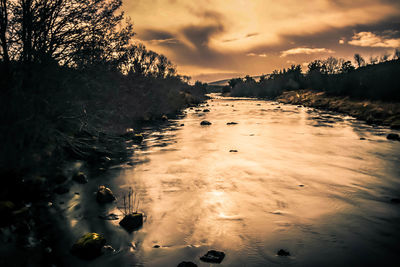 View of birds swimming in water at sunset