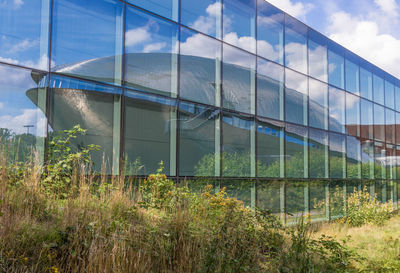 Low angle view of glass building against sky