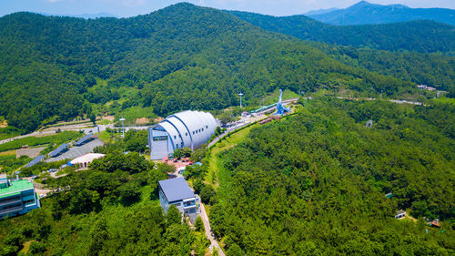 High angle view of trees on mountain