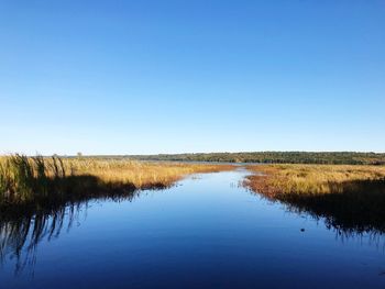 Scenic view of lake against clear blue sky