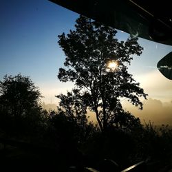 Silhouette trees against sky seen through car windshield