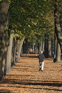 Exercising woman in the park.