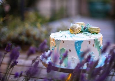 Delicious round homemade lavande cake vegan bakery selective focus macaroons blue pastel tasty food