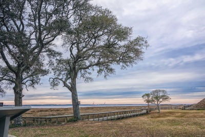 Trees on field against sky