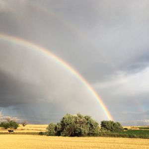 Scenic view of rainbow over trees on field against sky