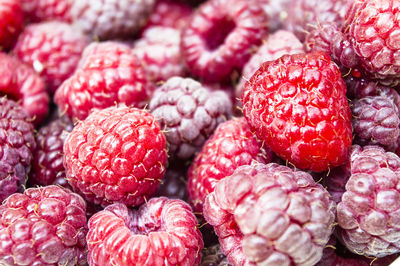 Close-up of raspberries