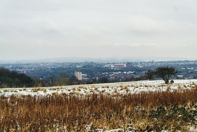 Scenic view of field against sky during winter