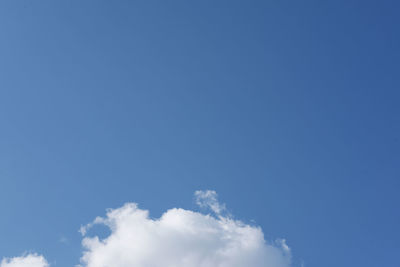Low angle view of trees against blue sky