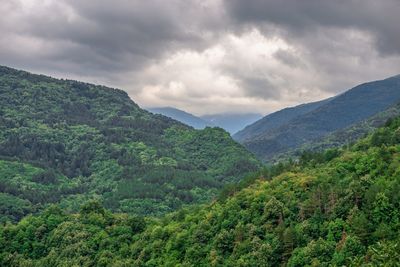 Bulgarian rhodope mountain view from the side of the asens fortress on a cloudy summer day