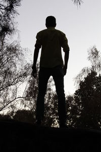 Woman standing on tree trunk