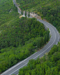 High angle view of road amidst trees in forest