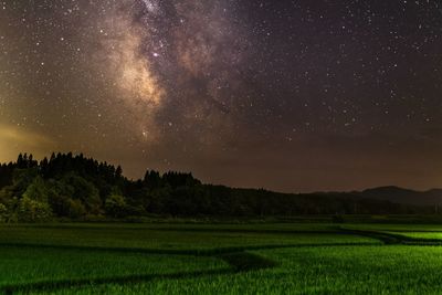 Scenic view of grassy landscape against sky full of stars