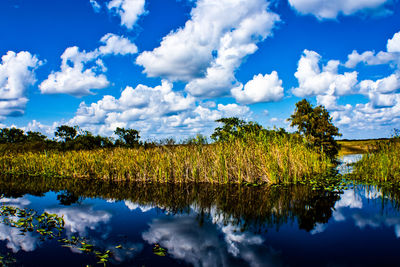 Reflection of trees in lake against sky