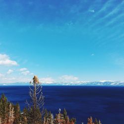 Scenic view of sea against blue sky