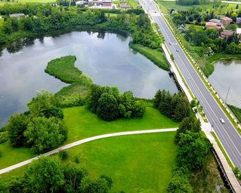 High angle view of bridge over plants