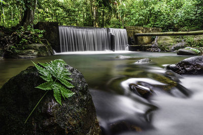 Water flowing through rocks in forest