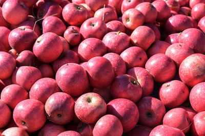 Full frame shot of apples at market stall