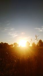 Silhouette trees on field against sky at sunset