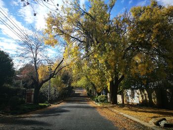 Road amidst trees against sky during autumn