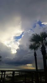 Low angle view of silhouette trees against sky