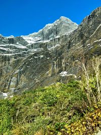 Low angle view of plants growing on mountain against sky