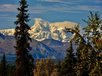 Denali from alaska train