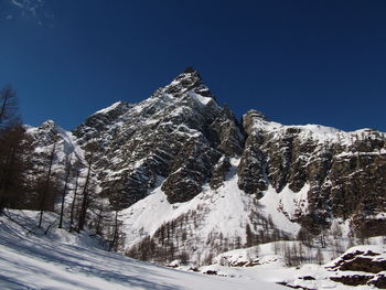 Snow covered trees and mountains against clear blue sky