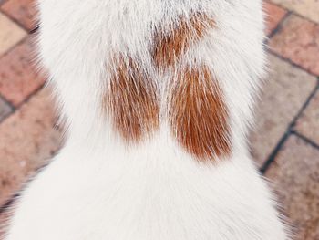 Close-up of human hand